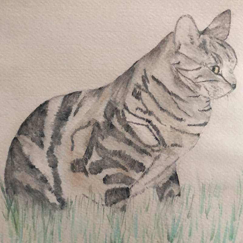 watercolor cat